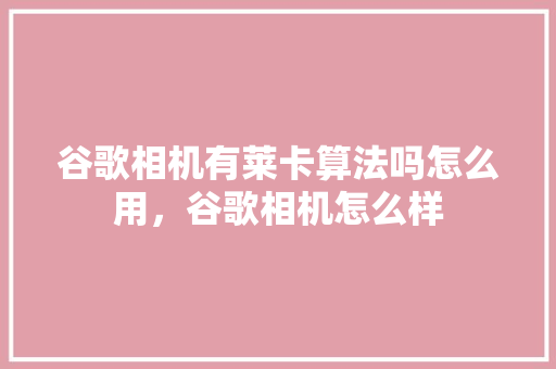 谷歌相机有莱卡算法吗怎么用，谷歌相机怎么样