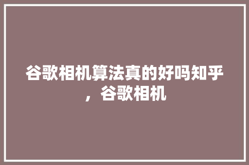 谷歌相机算法真的好吗知乎，谷歌相机