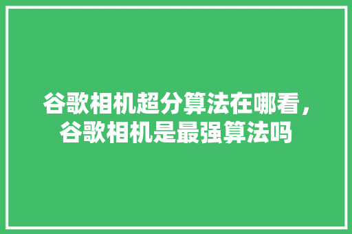 谷歌相机超分算法在哪看，谷歌相机是最强算法吗 SEO教程