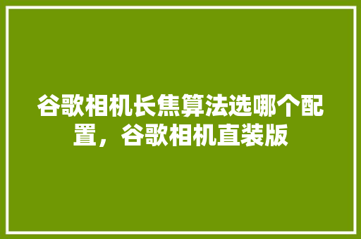 谷歌相机长焦算法选哪个配置，谷歌相机直装版 友链在线