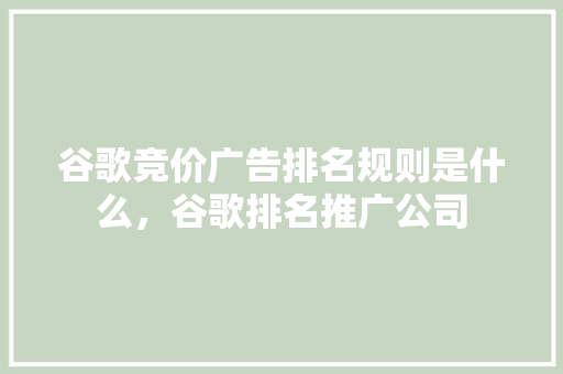 谷歌竞价广告排名规则是什么，谷歌排名推广公司
