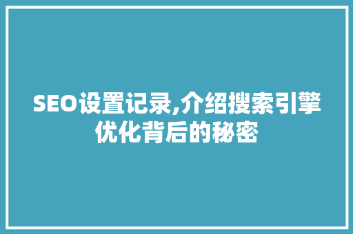 SEO设置记录,介绍搜索引擎优化背后的秘密