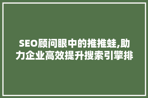 SEO顾问眼中的推推蛙,助力企业高效提升搜索引擎排名