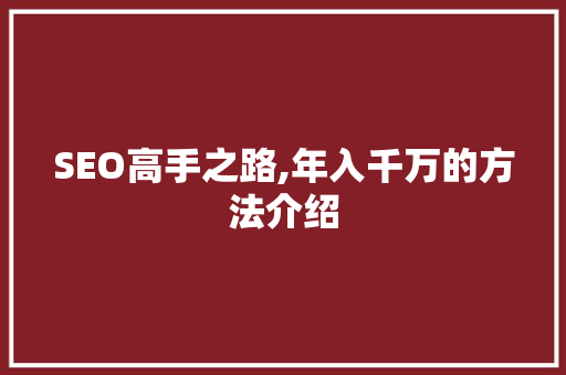 SEO高手之路,年入千万的方法介绍