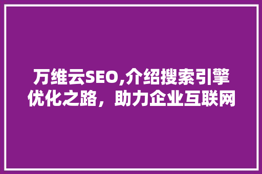 万维云SEO,介绍搜索引擎优化之路，助力企业互联网营销腾飞