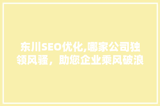 东川SEO优化,哪家公司独领风骚，助您企业乘风破浪