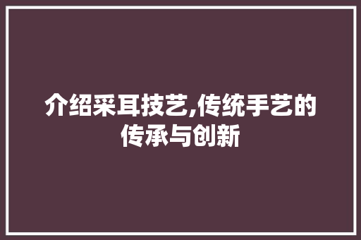 介绍采耳技艺,传统手艺的传承与创新