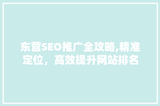 东营SEO推广全攻略,精准定位，高效提升网站排名