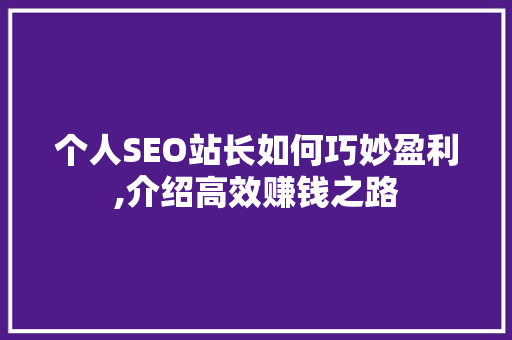 个人SEO站长如何巧妙盈利,介绍高效赚钱之路