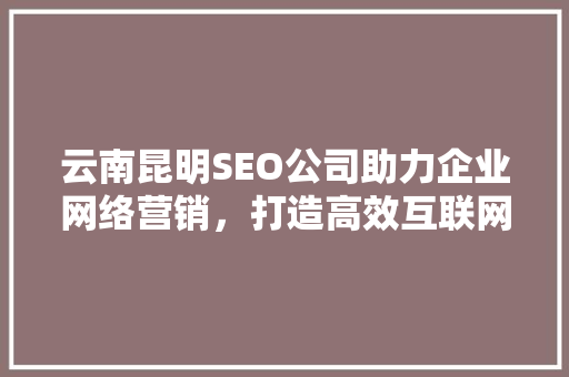 云南昆明SEO公司助力企业网络营销，打造高效互联网营销步骤