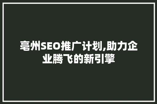 亳州SEO推广计划,助力企业腾飞的新引擎