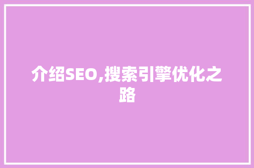 介绍SEO,搜索引擎优化之路