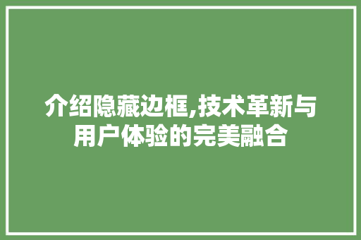 介绍隐藏边框,技术革新与用户体验的完美融合