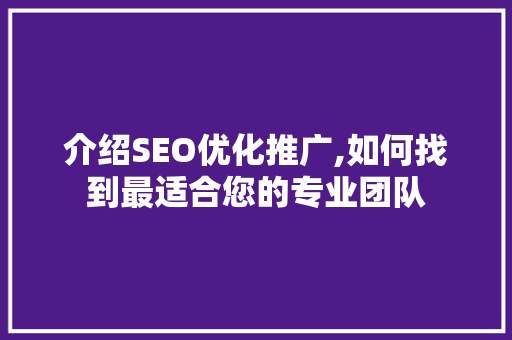 介绍SEO优化推广,如何找到最适合您的专业团队