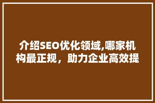 介绍SEO优化领域,哪家机构最正规，助力企业高效提升网站排名