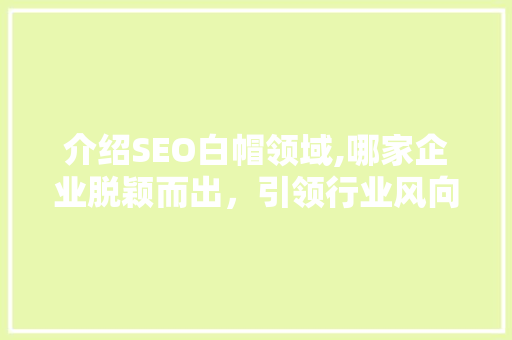 介绍SEO白帽领域,哪家企业脱颖而出，引领行业风向标