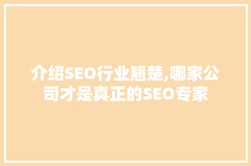 介绍SEO行业翘楚,哪家公司才是真正的SEO专家