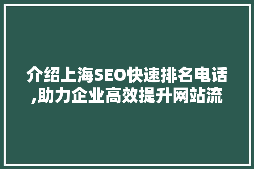 介绍上海SEO快速排名电话,助力企业高效提升网站流量与转化率