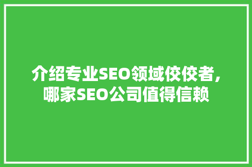 介绍专业SEO领域佼佼者,哪家SEO公司值得信赖