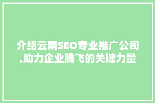 介绍云南SEO专业推广公司,助力企业腾飞的关键力量