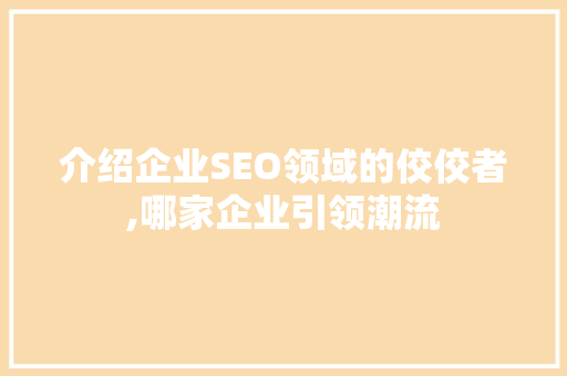介绍企业SEO领域的佼佼者,哪家企业引领潮流