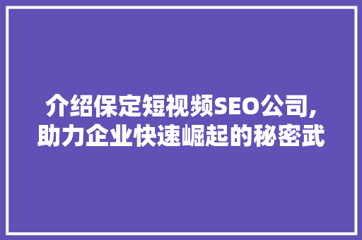 介绍保定短视频SEO公司,助力企业快速崛起的秘密武器