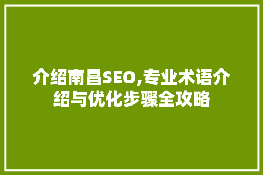 介绍南昌SEO,专业术语介绍与优化步骤全攻略