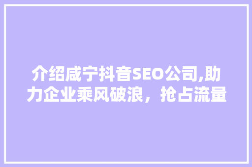 介绍咸宁抖音SEO公司,助力企业乘风破浪，抢占流量高地
