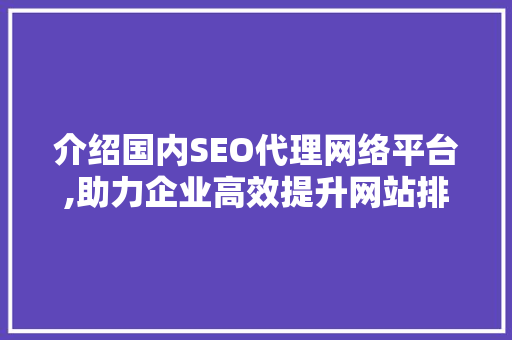 介绍国内SEO代理网络平台,助力企业高效提升网站排名