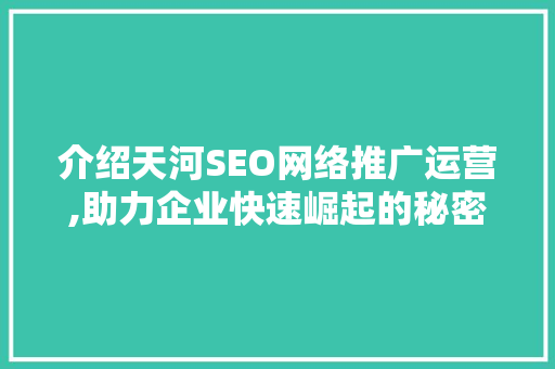 介绍天河SEO网络推广运营,助力企业快速崛起的秘密武器