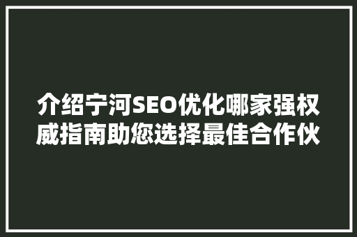 介绍宁河SEO优化哪家强权威指南助您选择最佳合作伙伴