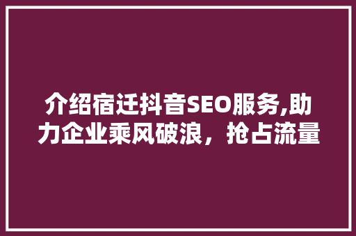 介绍宿迁抖音SEO服务,助力企业乘风破浪，抢占流量高地