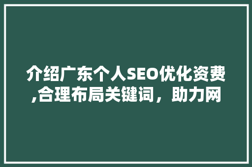 介绍广东个人SEO优化资费,合理布局关键词，助力网站提升排名