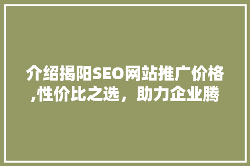 介绍揭阳SEO网站推广价格,性价比之选，助力企业腾飞