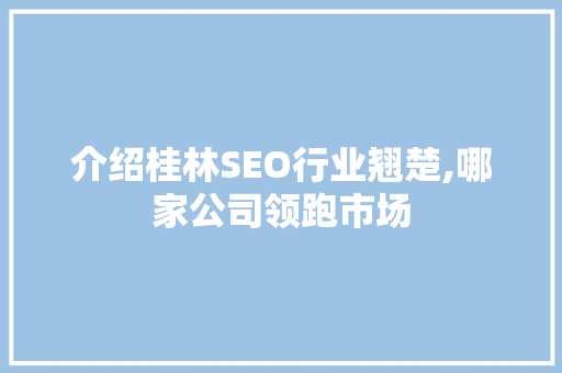 介绍桂林SEO行业翘楚,哪家公司领跑市场