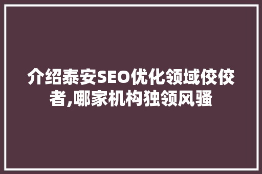 介绍泰安SEO优化领域佼佼者,哪家机构独领风骚