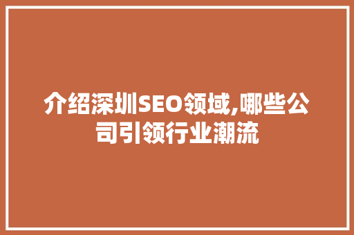 介绍深圳SEO领域,哪些公司引领行业潮流