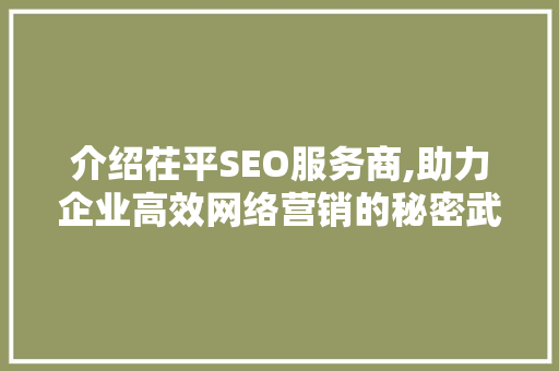 介绍茌平SEO服务商,助力企业高效网络营销的秘密武器