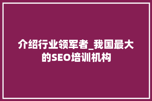 介绍行业领军者_我国最大的SEO培训机构