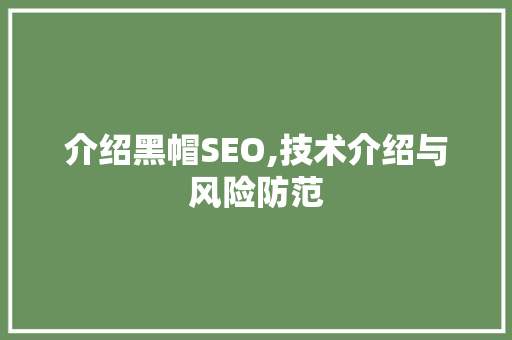 介绍黑帽SEO,技术介绍与风险防范