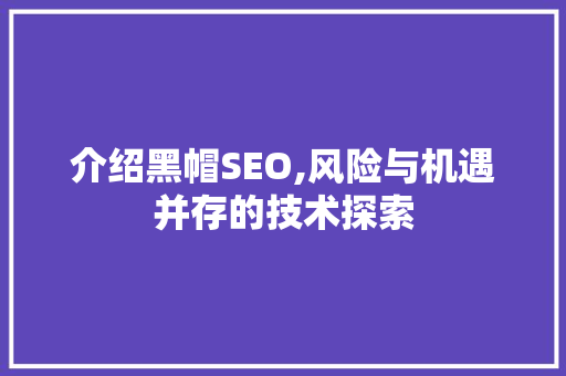 介绍黑帽SEO,风险与机遇并存的技术探索 建站教程