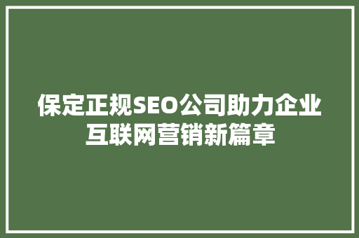 保定正规SEO公司助力企业互联网营销新篇章