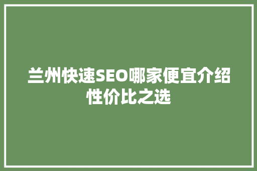 兰州快速SEO哪家便宜介绍性价比之选 Web前端