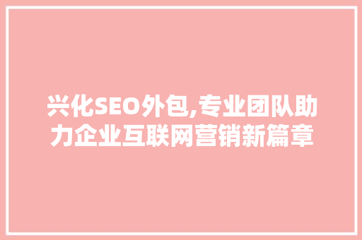 兴化SEO外包,专业团队助力企业互联网营销新篇章