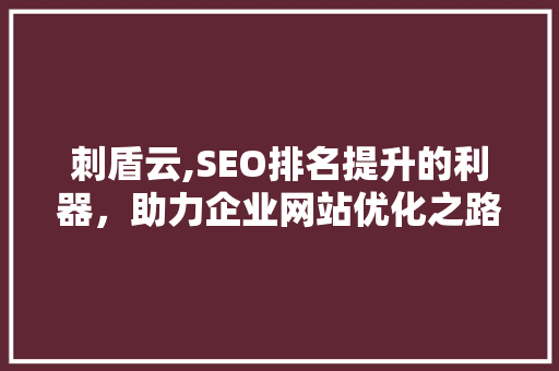 刺盾云,SEO排名提升的利器，助力企业网站优化之路