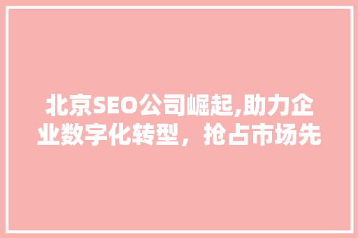 北京SEO公司崛起,助力企业数字化转型，抢占市场先机
