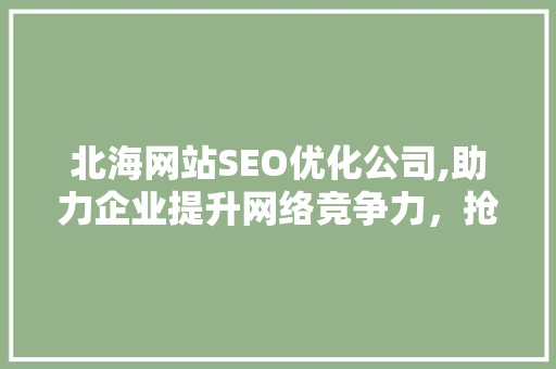 北海网站SEO优化公司,助力企业提升网络竞争力，抢占市场先机