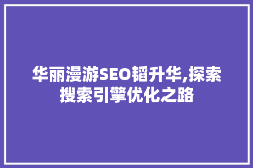 华丽漫游SEO韬升华,探索搜索引擎优化之路