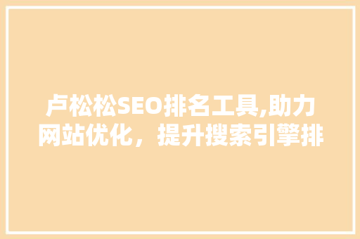 卢松松SEO排名工具,助力网站优化，提升搜索引擎排名
