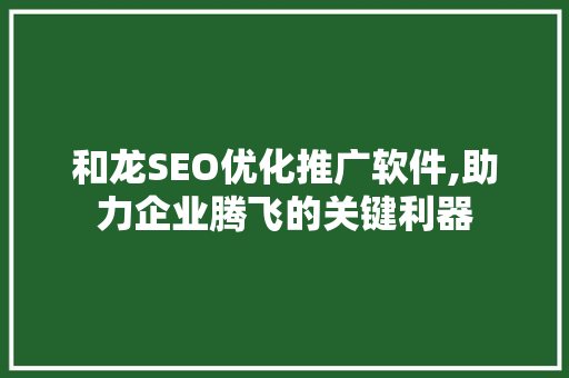 和龙SEO优化推广软件,助力企业腾飞的关键利器
